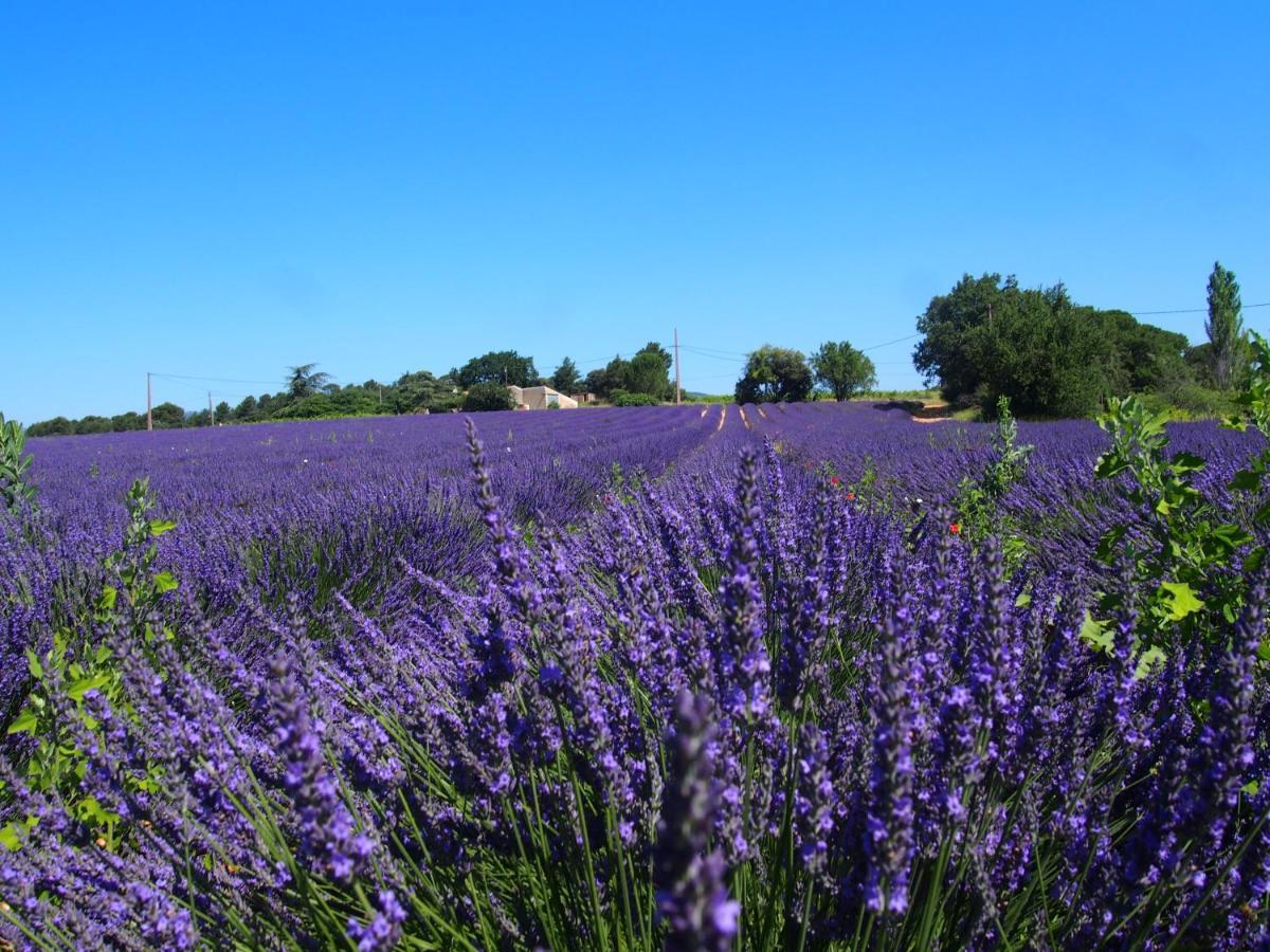 La Vita Dolce, Luberon Grambois Exterior foto