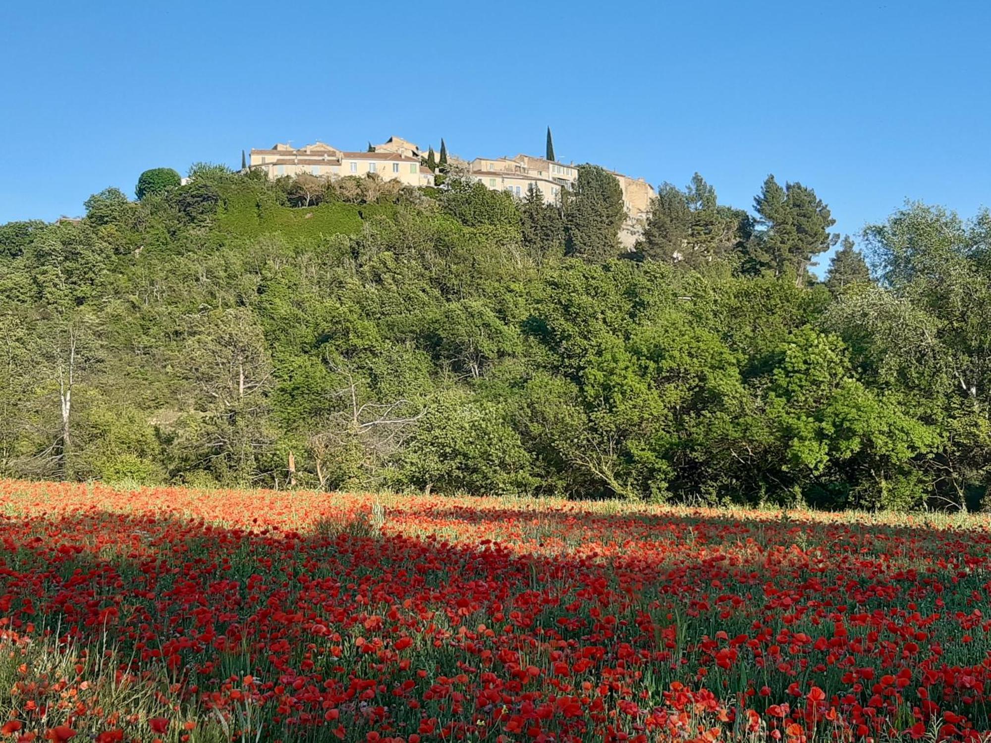 La Vita Dolce, Luberon Grambois Exterior foto